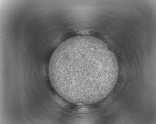 X0000066020658200603312050