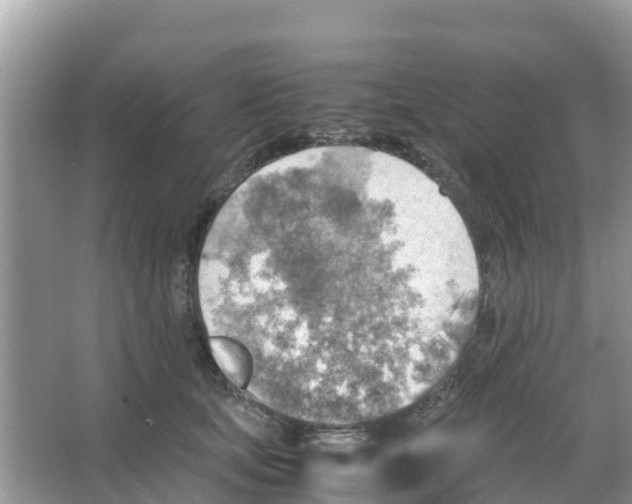 X0000066020659200603312050