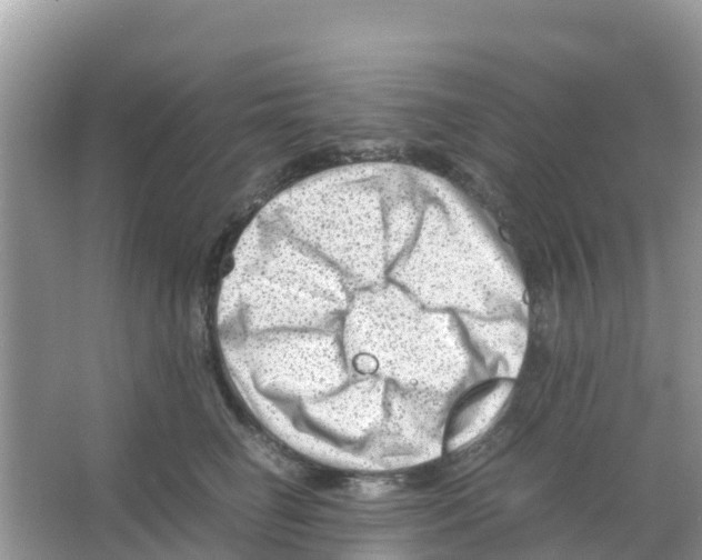 X0000066020662200603312050