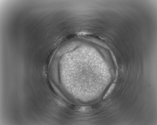 X0000066020663200603312050