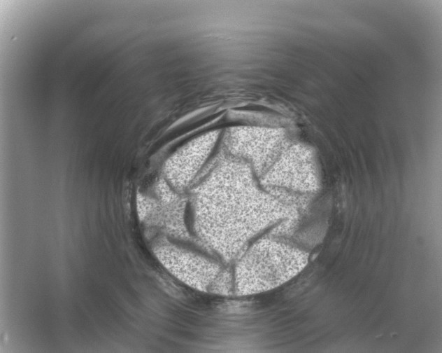 X0000066020664200603312050