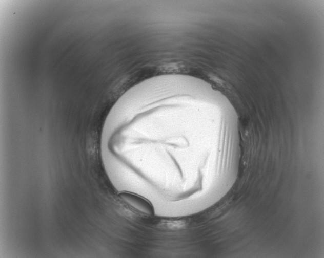 X0000066020665200603312050