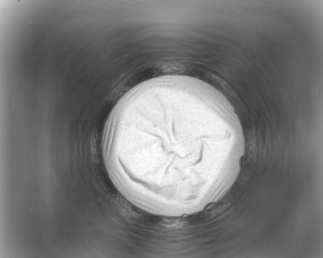 X0000066020667200603312050