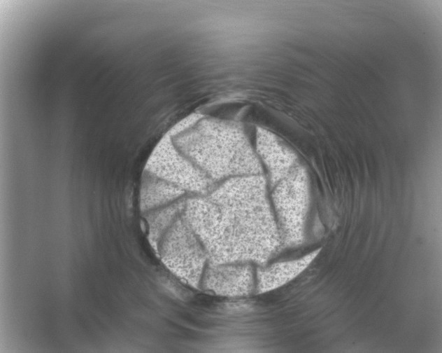 X0000066020668200603312050