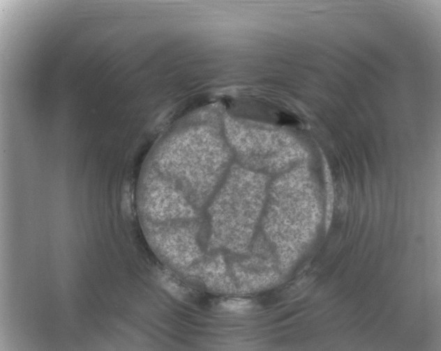 X0000066020669200603312050