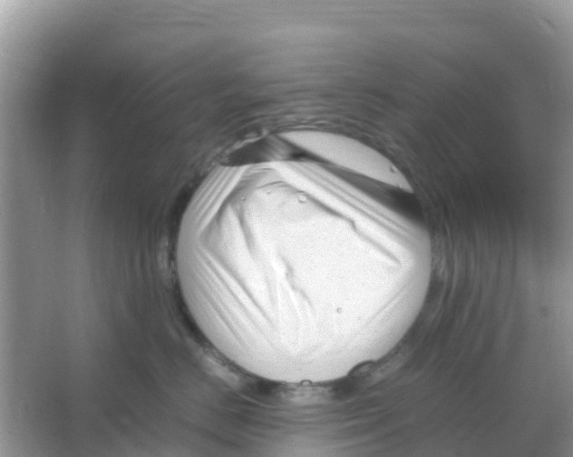 X0000066020670200603312050