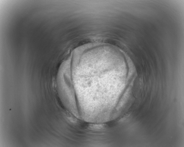 X0000066020671200603312050