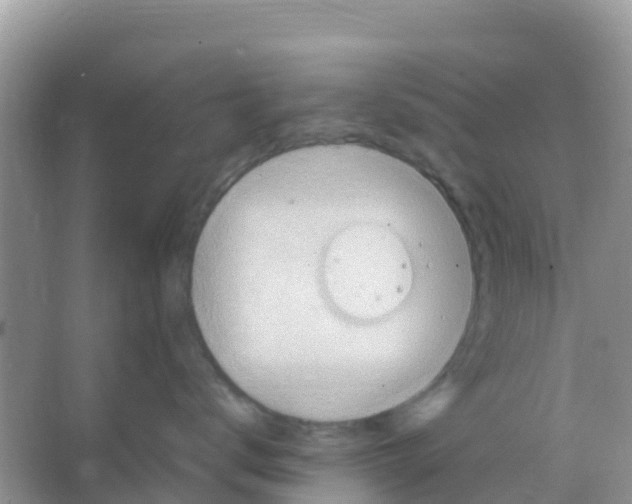 X0000066020672200603312050