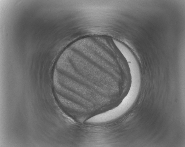 X0000066020673200603312050