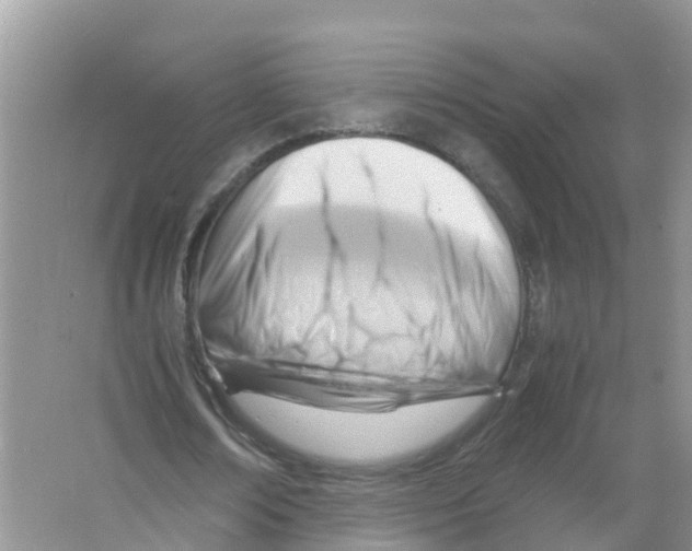 X0000066020674200603312050