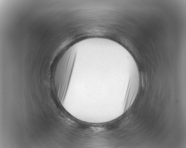 X0000066020675200603312050