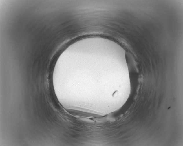 X0000066020676200603312049