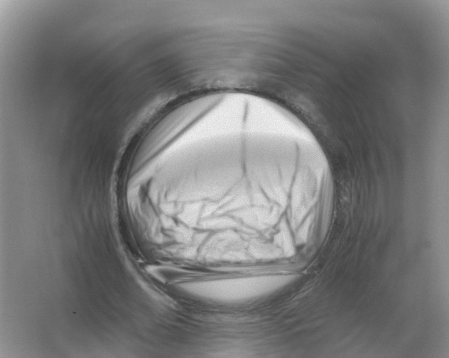 X0000066020678200603312049