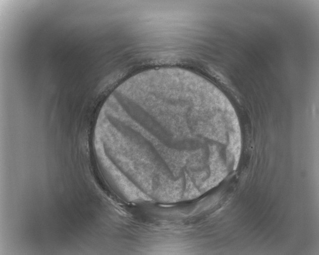 X0000066020681200603312049