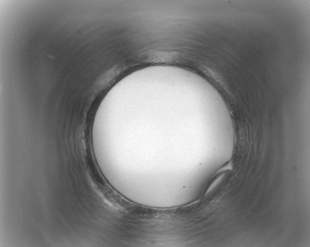 X0000066020682200603312049