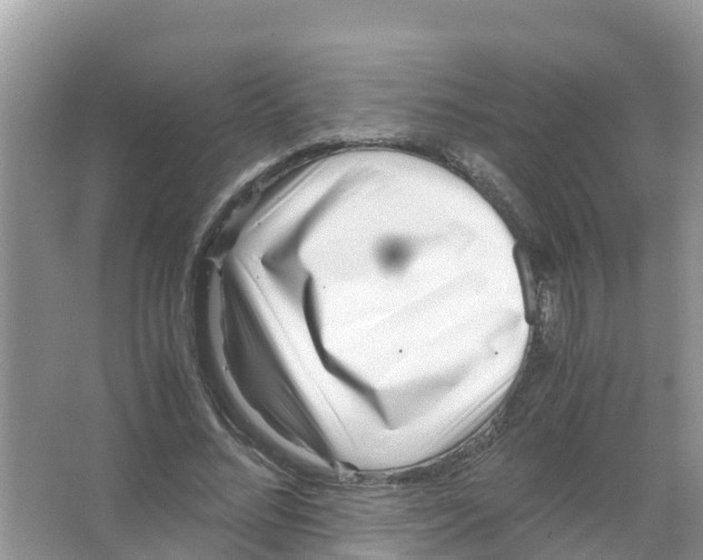 X0000066020684200603312049