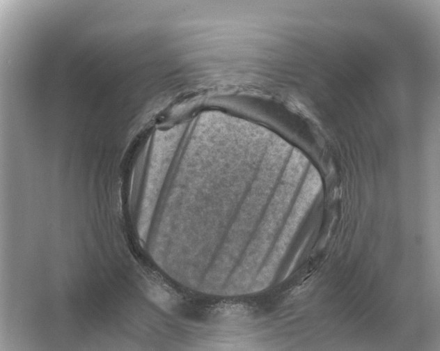 X0000066020685200603312049