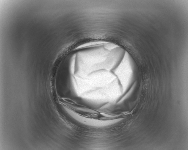 X0000066020688200603312049