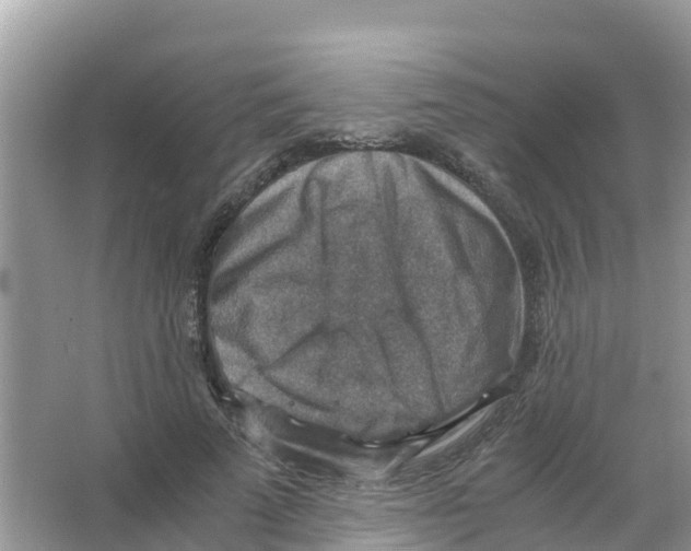 X0000066020689200603312049