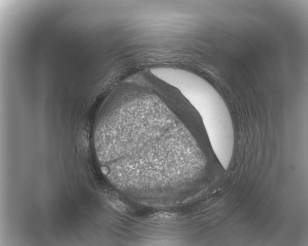 X0000066020691200603312049