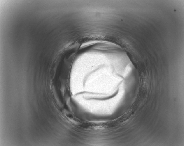 X0000066020692200603312049