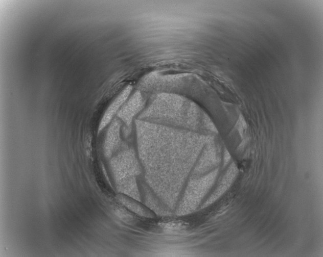 X0000066020693200603312049