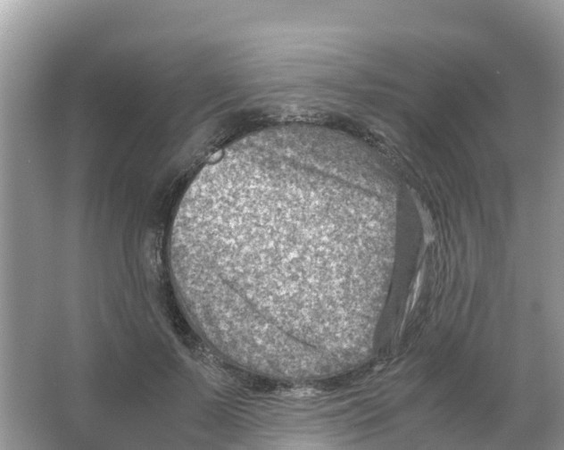 X0000066020695200603312049