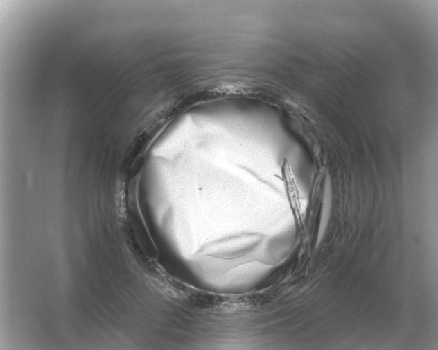 X0000066020696200603312049