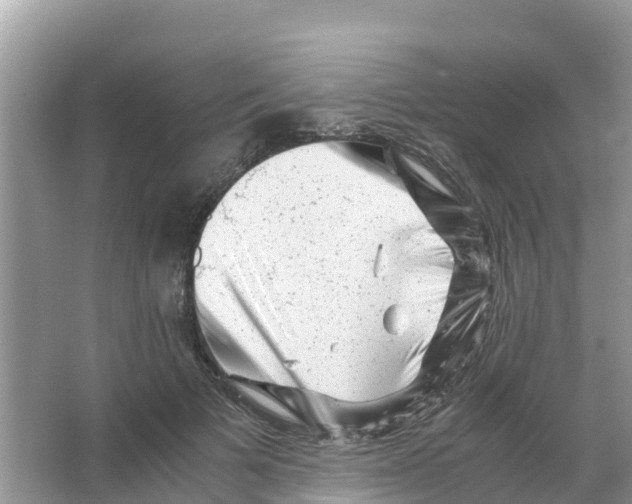 X0000066020697200603312049