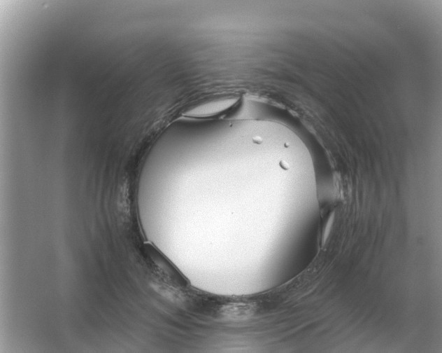 X0000066020700200603312049