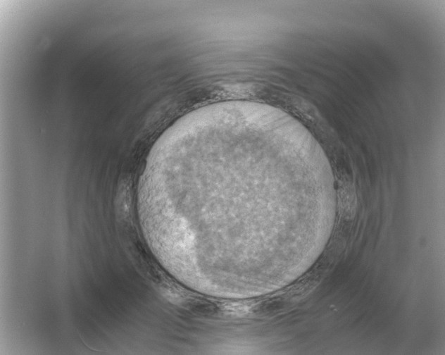 X0000066020701200603312049