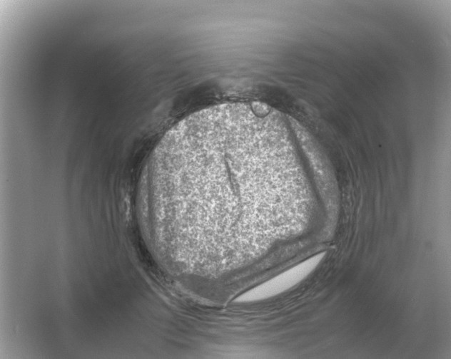 X0000066020703200603312049