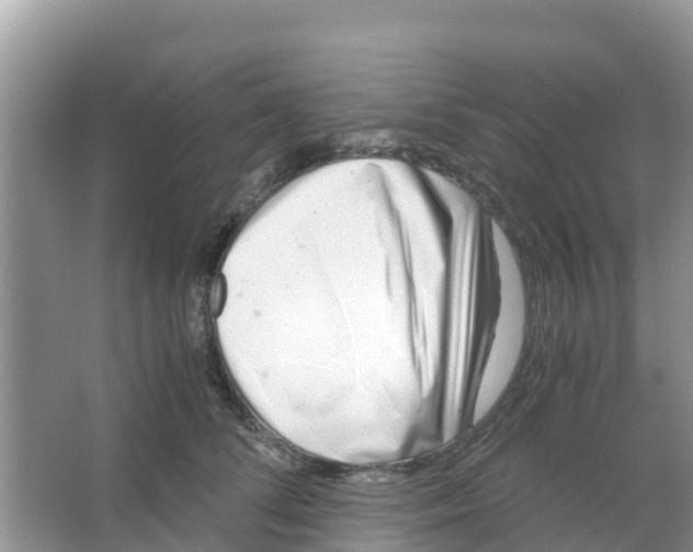 X0000066020708200603312049