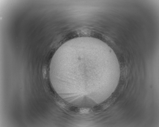 X0000066020709200603312049