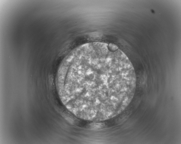 X0000066020711200603312049