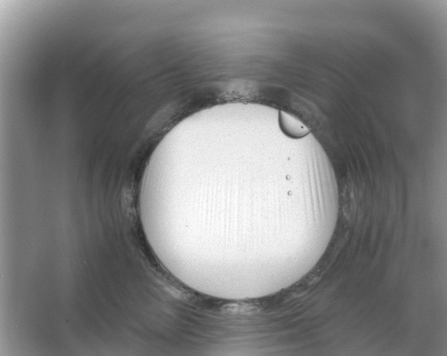 X0000066020714200603312049