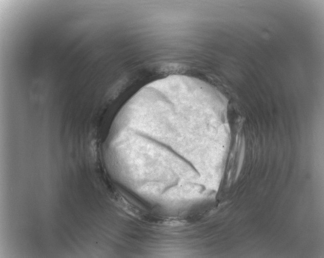 X0000066020716200603312049