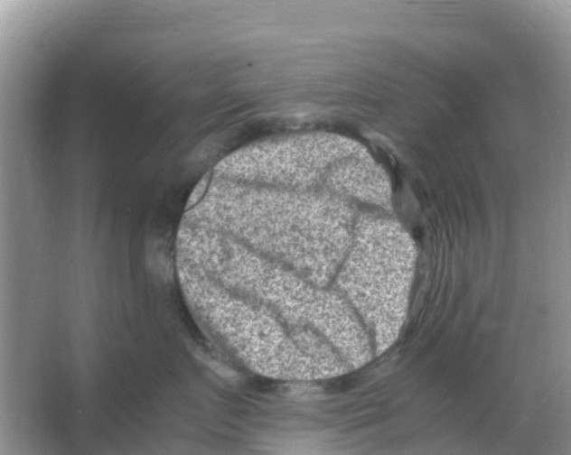 X0000066020719200603312049