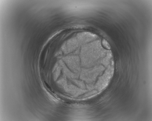 X0000066020722200603312048