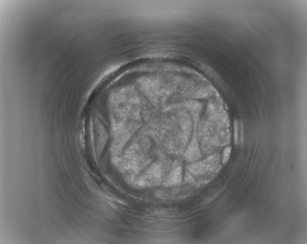 X0000066020723200603312048