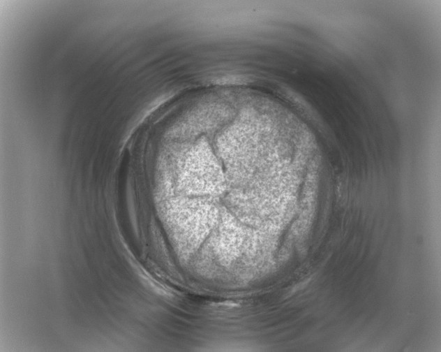 X0000066020725200603312048