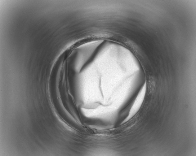 X0000066020726200603312048