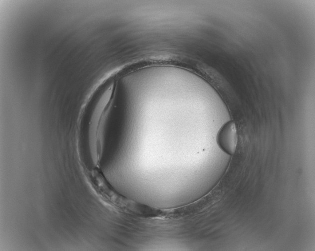 X0000066020728200603312048