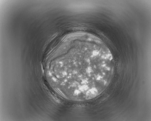 X0000066020729200603312048