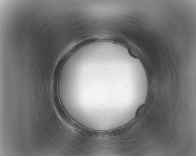 X0000066020730200603312048