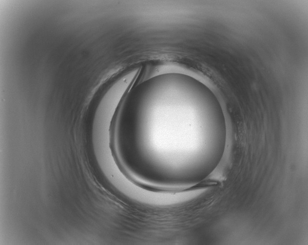 X0000066020731200603312048