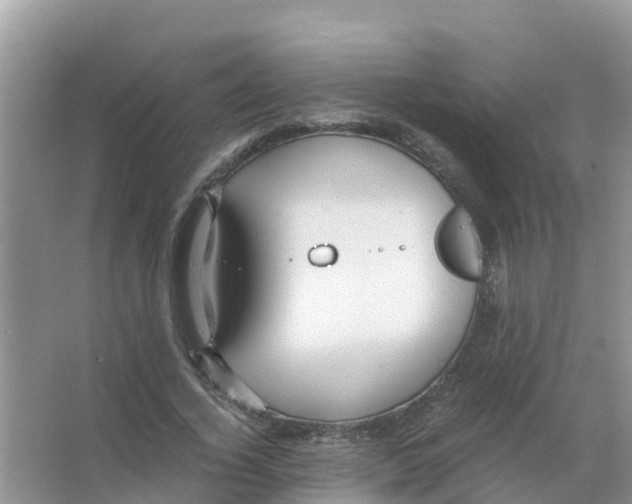 X0000066020732200603312048