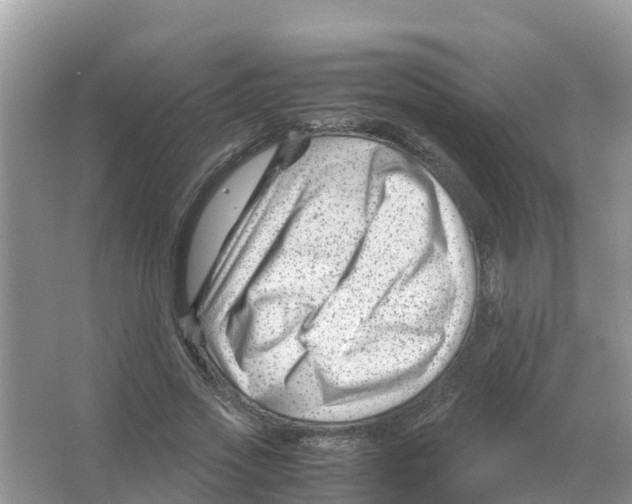 X0000066020733200603312048