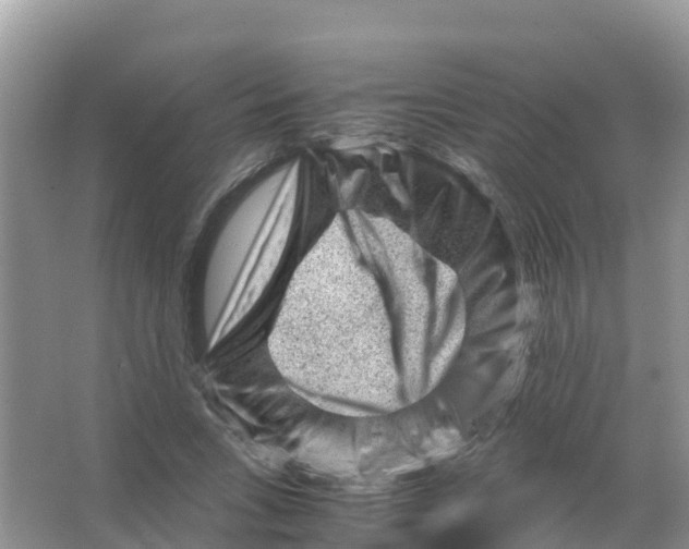 X0000066020735200603312048