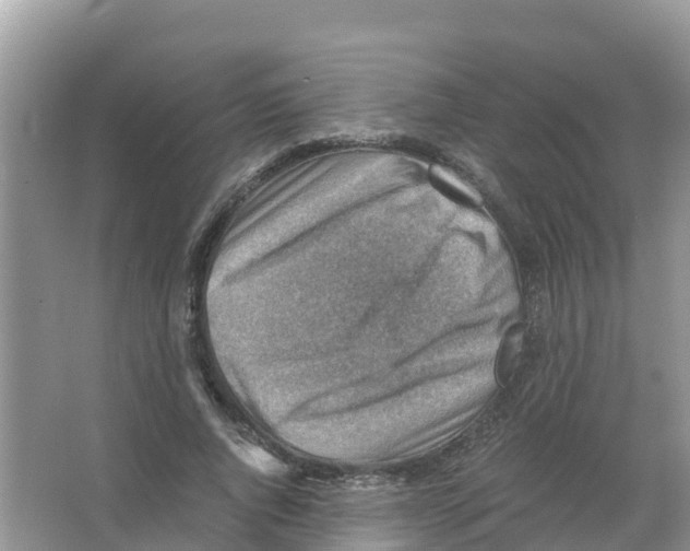 X0000066020736200603312048